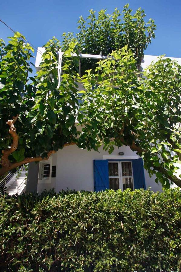 Studios Vasilis Aγία Μαρίνα Εξωτερικό φωτογραφία